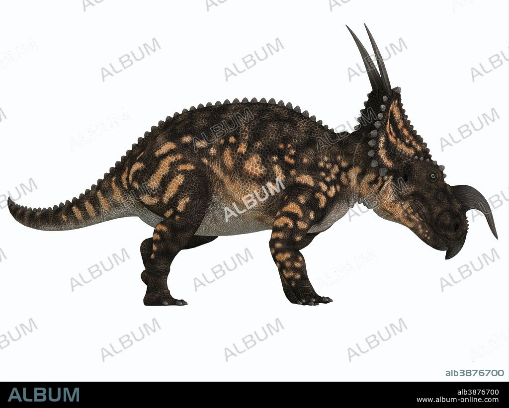 Einiosaurus was a herbivorous ceratopsian dinosaur that lived in the Cretaceous Age of Montana, North America.