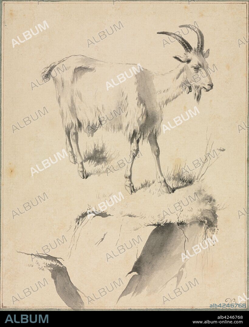 Study of a Goat, 1700s. Jean Jacques de Boissieu (French, 1736-1810). Black ink and gray ink wash and point of brush work; sheet: 24.1 x 19.5 cm (9 1/2 x 7 11/16 in.).