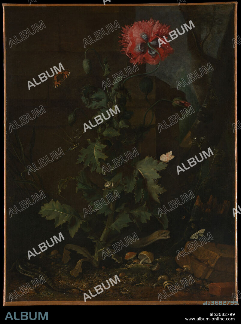 Still Life with Poppy, Insects, and Reptiles. Artist: Otto Marseus van Schrieck (Dutch, Nijmegen 1619/20-1678 Amsterdam). Dimensions: 26 7/8 x 20 3/4 in. (68.3 x 52.7 cm). Date: ca. 1670.