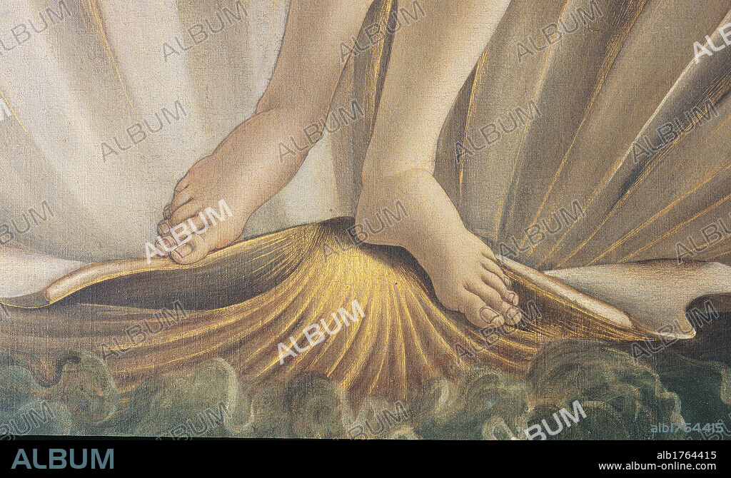 The Birth of Venus, by Sandro Filipepi Known as Botticelli, 1484-1485 about, 15th Century, tempera on canvas, cm 184,5 x 285,5. Italy, Tuscany, Florence, Uffizi Gallery. Detail. Venus feet placed inside the valve of the large shell. Authorization required for non editorial use.