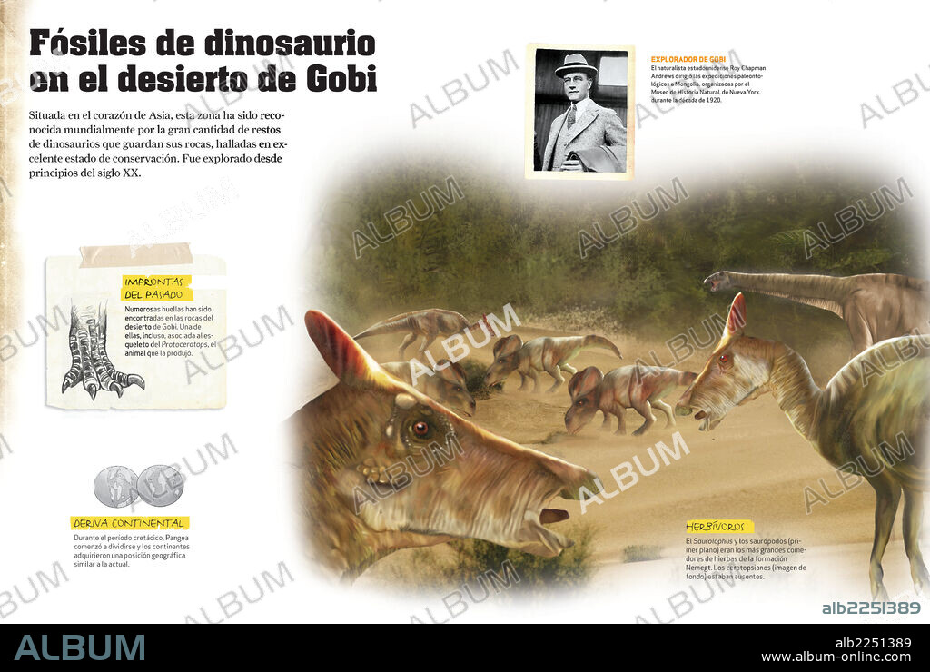 Fósiles de dinosaurios en el desierto de Gobi. Infografía de los fósiles de dinosaurios del período Cretácico hallados en el desierto del Gobi, en Asia Central.