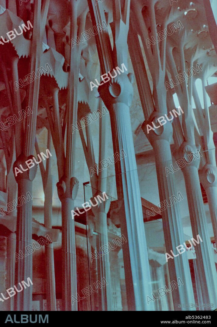 ANTONI GAUDI. Sagrada Familia (interior): branching columns and lateral choir (the ellipsoidal branching points that terminate the main column from which the upper columns emerge), 25-11-1980.