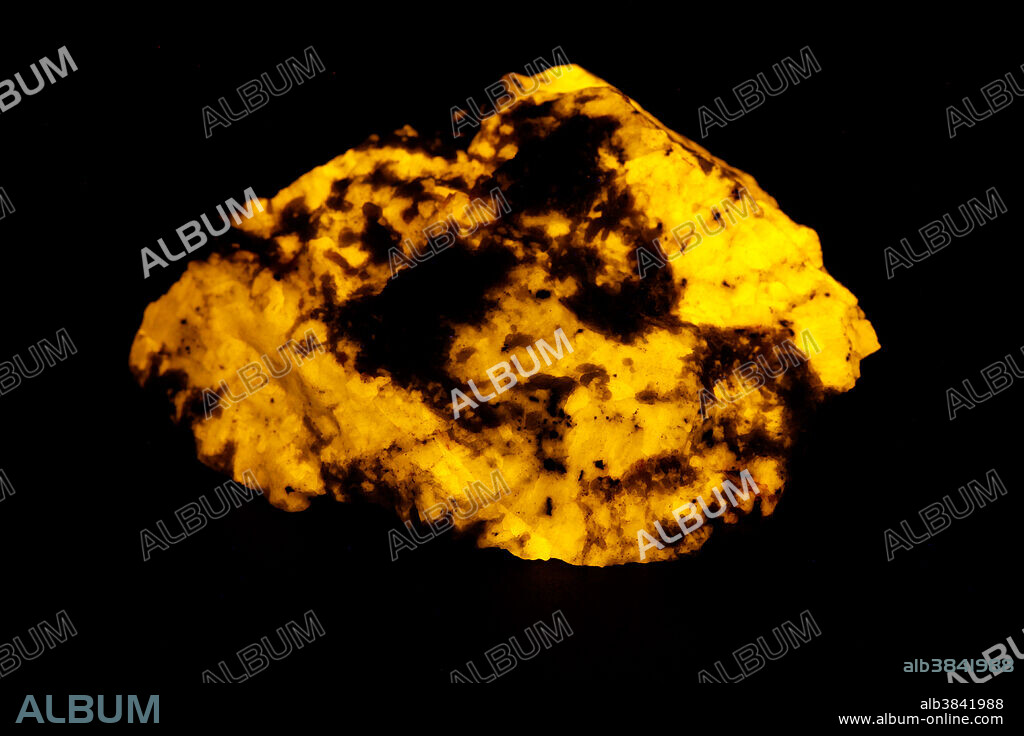 This mineral produces a strong yellow colour when exposed to long wave ultraviolet (UV) light. Wernerite is a variation of scapolite. Collected in Grenville Quebec, Canada. Wernerite is considered one of the strongest fluorescent minerals in the long wave. This mineral was named in the early 1800's by Abraham Gottlob Werner (1749-1817) who was a well known German professor of mineralogy.