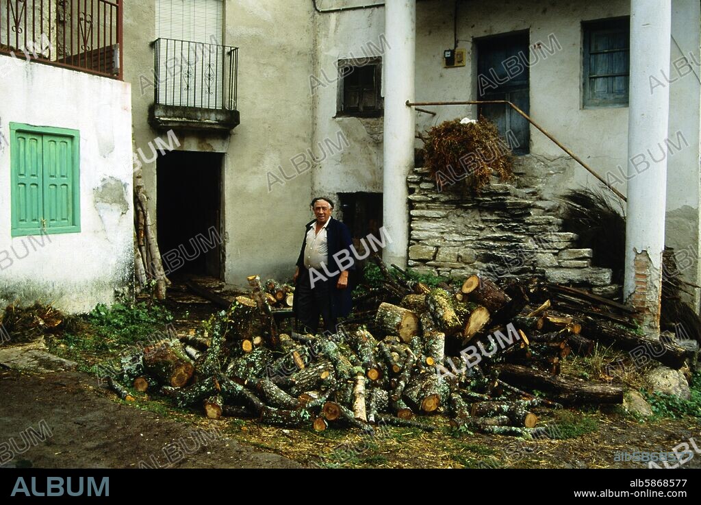 Vega de Valcárcel, old man cutting firewood (Sant James pilgrims way to Santiago).