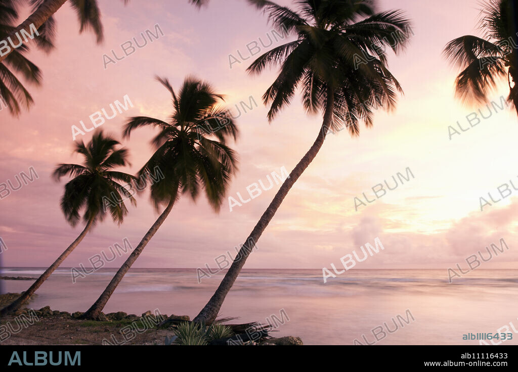Tropical sunset, Bridgetown, Barbados, West Indies, Caribbean, Central America.