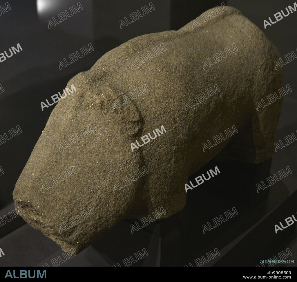 Pequeña estatua de un verraco. Datada en los siglos I-II d.C. Olival dos Berroes. Moncorvo. Distrito de Braganza. Portugal. Museo Nacional de Arqueología. Lisboa. Portugal.