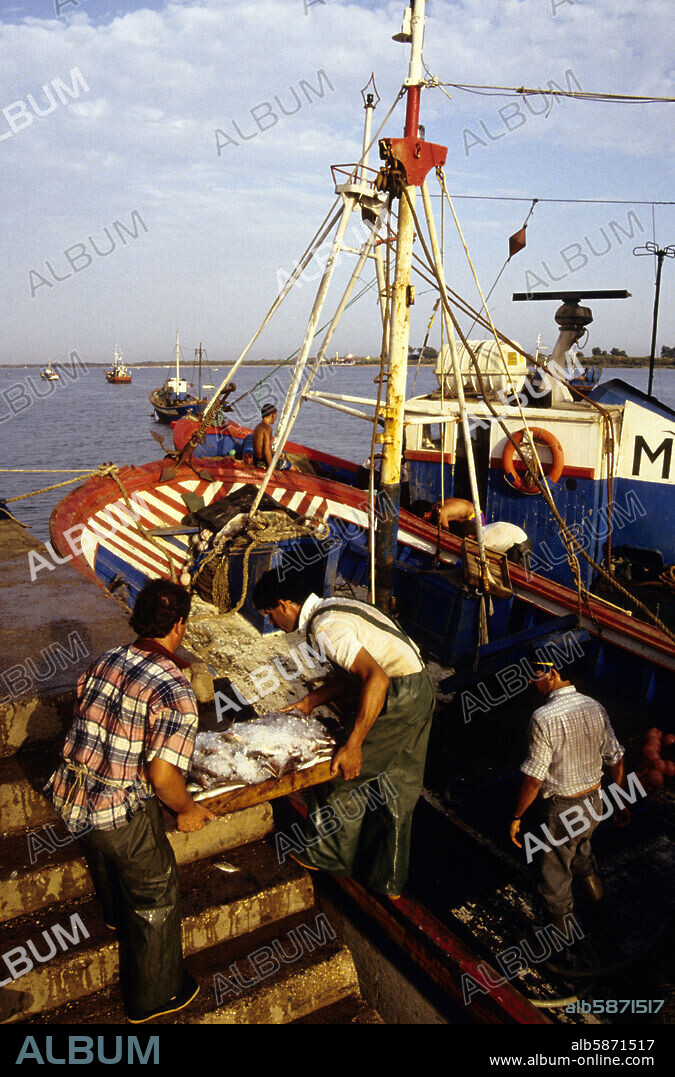 El Rompido; puerto pesquero y pescadores descargando; Costa de la Luz.