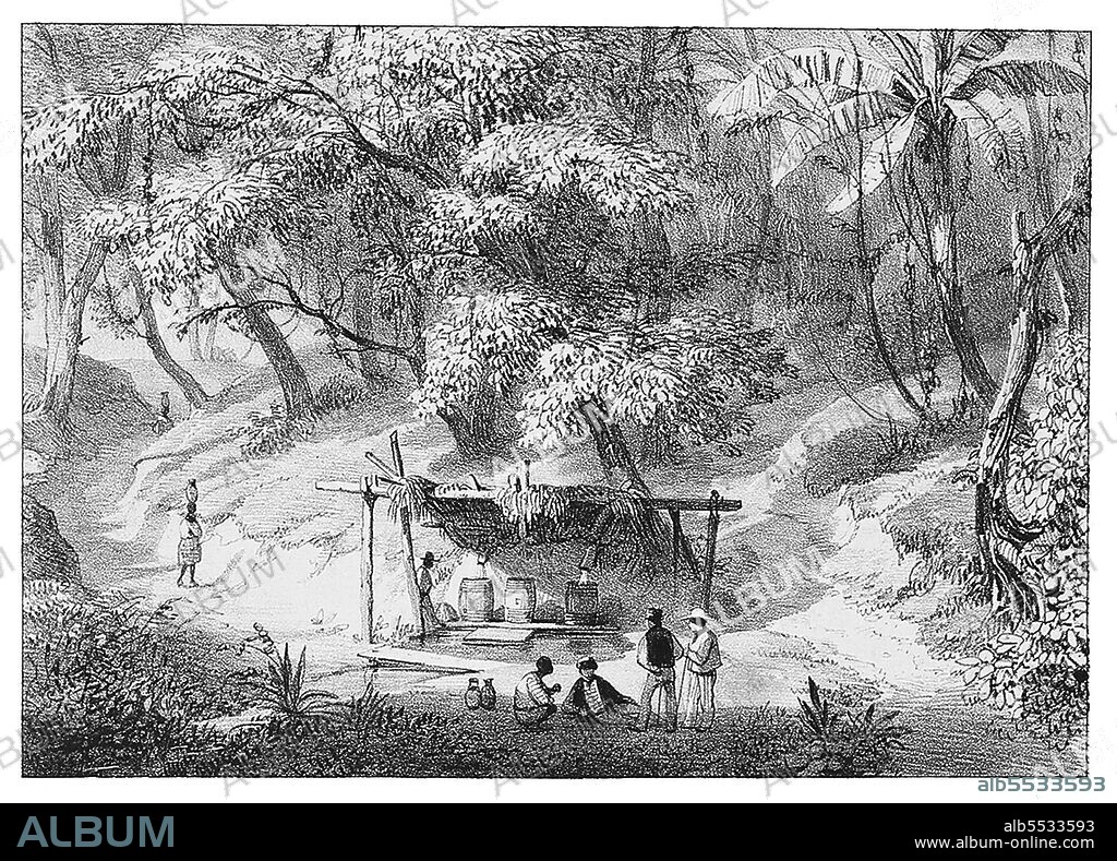 Jodensavanne (Dutch, 'Jewish Savanna') was an attempt to establish an autonomous Jewish territory in Suriname, South America. Jodensavanne is located in Para District, about 50 km south of the capital Paramaribo, on the Suriname River. In 1639, the English government allowed Sephardi Jews from the Netherlands, Portugal and Italy to settle the region, coming to the old capital Torarica. In the year 1652, a new group that migrated under the leadership of Lord Willoughby came to Suriname and settled in the area Jodensavanne. A third group came in 1664, after their expulsion from Brazil and then French Guiana, led by David Cohen Nassy. The Jewish community acquired great internal autonomy, with work dedicated to the sugar-cane plantation. The Congregation Beracha ve Shalom ('Blessings and Peace') was founded, with the first wooden synagogue in the community (the 3rd synagogue in South America) built between 1665 and 1671 and a second, made of imported brick, was constructed in 1685. Jodensavanne declined during the mid-18th century, and most of its population moved to Paramaribo. The colony strived to survive until it was destroyed in 1832 by a slave revolt and resulting fire.