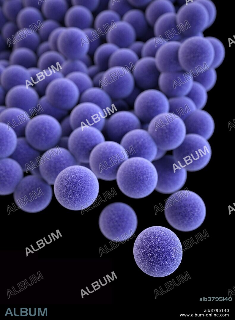 Vancomycin-Resistant Staphylococcus aureus (VRSA). Vancomycin-resistant Staphylococcus aureus refers to strains of Staphylococcus aureus that have become resistant to the glycopeptide antibiotic vancomycin. According to the Centers for Disease Control and Prevention, more than two million people in the United States get infections that are resistant to antibiotics and at least 23,000 people die as a result. Over-prescription of antibiotics leads to antibiotic-resistant germs.