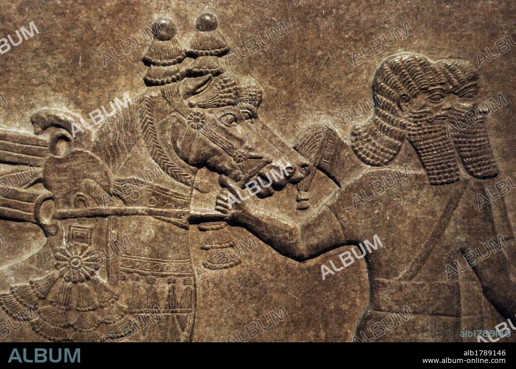 ARTE MESOPOTAMICO-ASIRIO. Relieve con la repre-sentación del SEQUITO DEL REY TIGLATH PILESER III (744-727 a. C) AL TOMAR LA CIUDAD DE ASTARTU. SOLDADOS TIRANDO DE LOS CABALLOS. Fechado hacia el año 730-727 a. C.. Procede del palacio de Nimrud. Museo Británico. Londres. Inglaterra. Reino Unido.