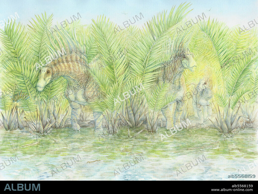 Bajadasaurus pronuspinax amongst Nipa palms, Early Cretaceous, Patagonia, Argentina. Watercolor pencils and acrylic inks.