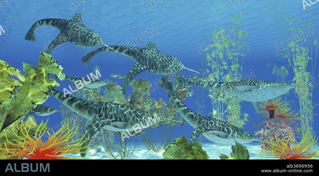 Doryaspis, an extinct genus of primitive jawless fish that lived in the ocean during the Devonian Period.