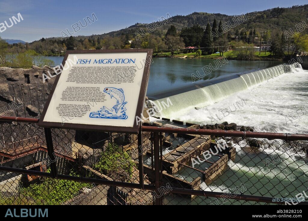 Information sign and fish ladder for salmon and steelhead at Winchester Dam on the North Umpqua River, Winchester, Oregon.