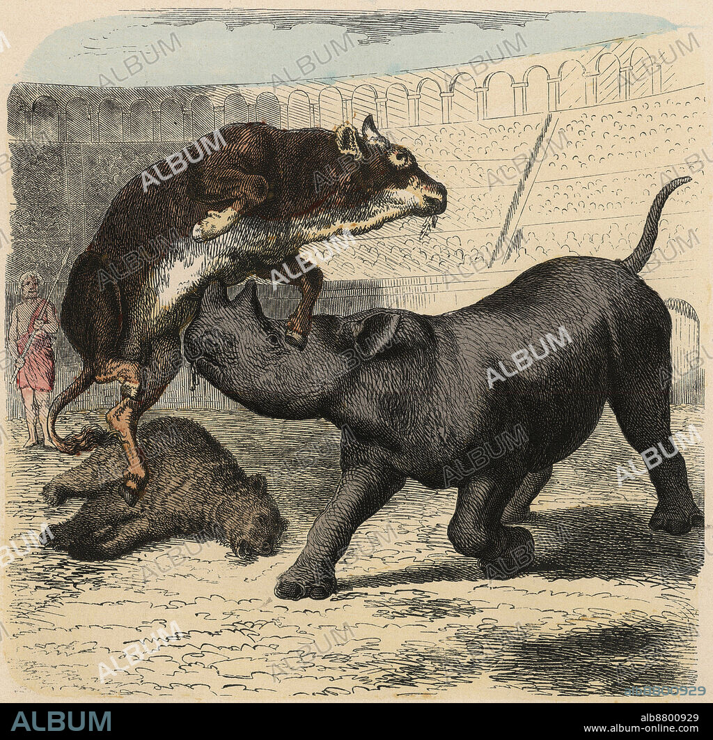 Coloured engraving by Heinrich Leutemann (1824-1905) - Bilder aus dem Altertume (Pictures from Antiquity) 1866.