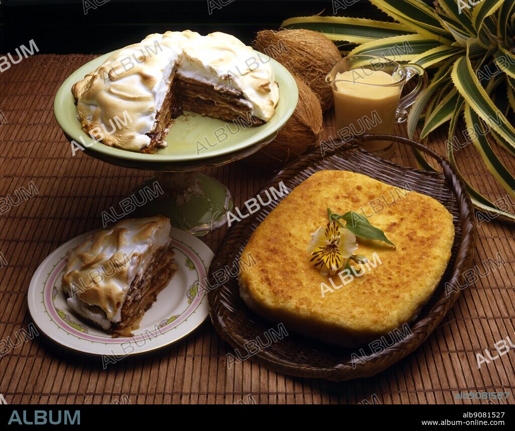 International Cooking By Robin Howe. Left, Layed Pancakes. Palacsinta Torta, Hungary. Right, Coconut Bread Pudding. Pudim De Pao Com Coco, Brazil.
