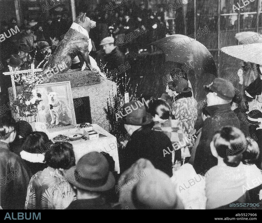 Hachiko (???, November 10, 1923 – March 8, 1935) was an Akita dog born on a farm near the city of Odate, Akita Prefecture, who is remembered for his remarkable loyalty to his owner which continued for many years after his owner's death. In 1924, Hidesaburo Ueno, a professor in the agriculture department at the University of Tokyo, took in Hachiko, a golden brown Akita, as a pet. During his owner's life, Hachiko greeted him at the end of each day at the nearby Shibuya Station. The pair continued their daily routine until May 1925, when Professor Ueno did not return. The professor had suffered a cerebral hemorrhage and died, never returning to the train station where Hachiko was waiting. Each day for the next nine years Hachiko awaited Ueno's return, appearing precisely when the train was due at the station. Hachiko attracted the attention of other commuters. Many of the people who frequented the Shibuya train station had seen Hachiko and Professor Ueno together each day. After the first appearance of the article about him on October 4, 1932 in Asahi Shimbun, people started to bring Hachiko treats and food to nourish him during his wait. Hachiko died on March 8, 1935, and was found on a street in Shibuya. Hachiko's stuffed and mounted remains are kept at the National Science Museum of Japan in Ueno, Tokyo. His monument is in Aoyama cemetery in Minatoku, Tokyo. In 2009, Hollywood produced 'Hachi: A Dog's Tale', starring Richard Gere and Joan Allen, based on the life of Hachiko.