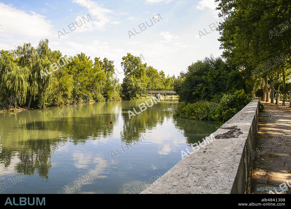 Aranjuez, Comunidad de Madrid, Spain, Europe. The Prince's Garden (Jardìn del Principe), Tagus (Tajo) river.