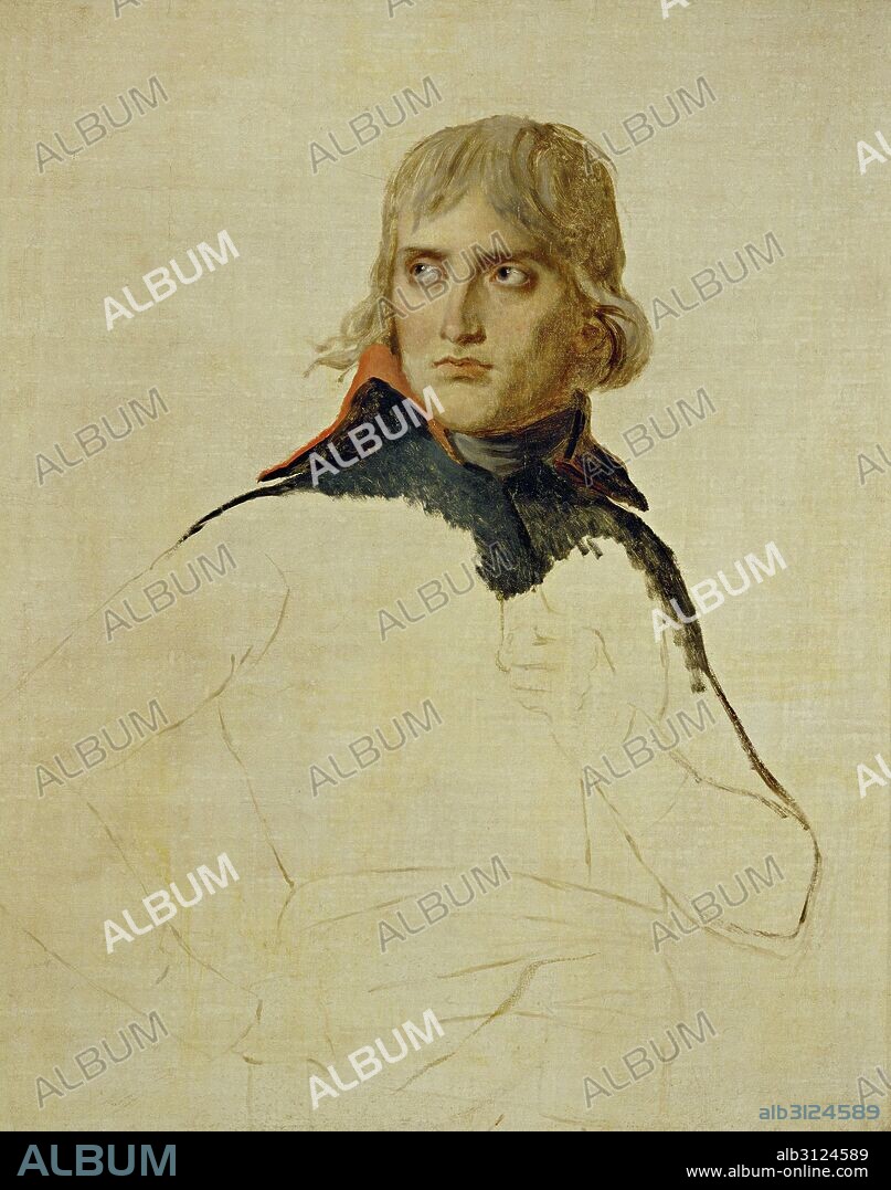 JACQUES LOUIS DAVID. Retrato del General Bonaparte, 1er Consul, 1799.