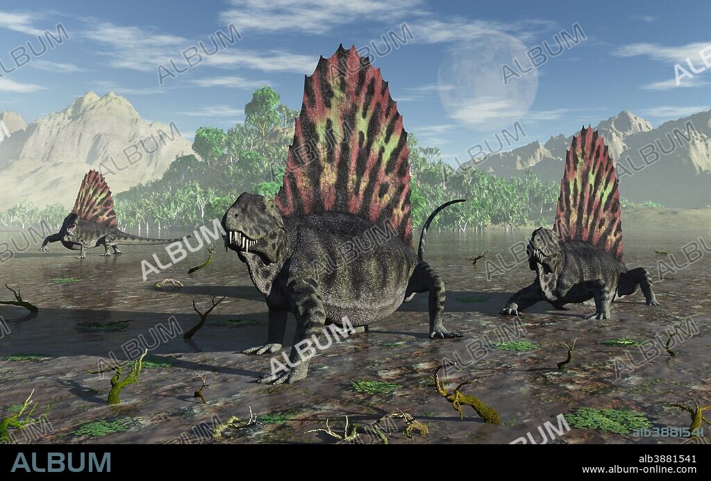A group of sail-backed carnivorous Dimetrodons during Earth's Permian period.