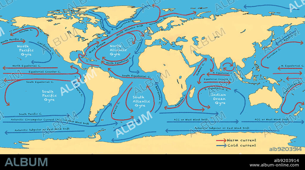 A map showing the warm and cold currents circulating in the world's oceans, with major gyres labeled.
