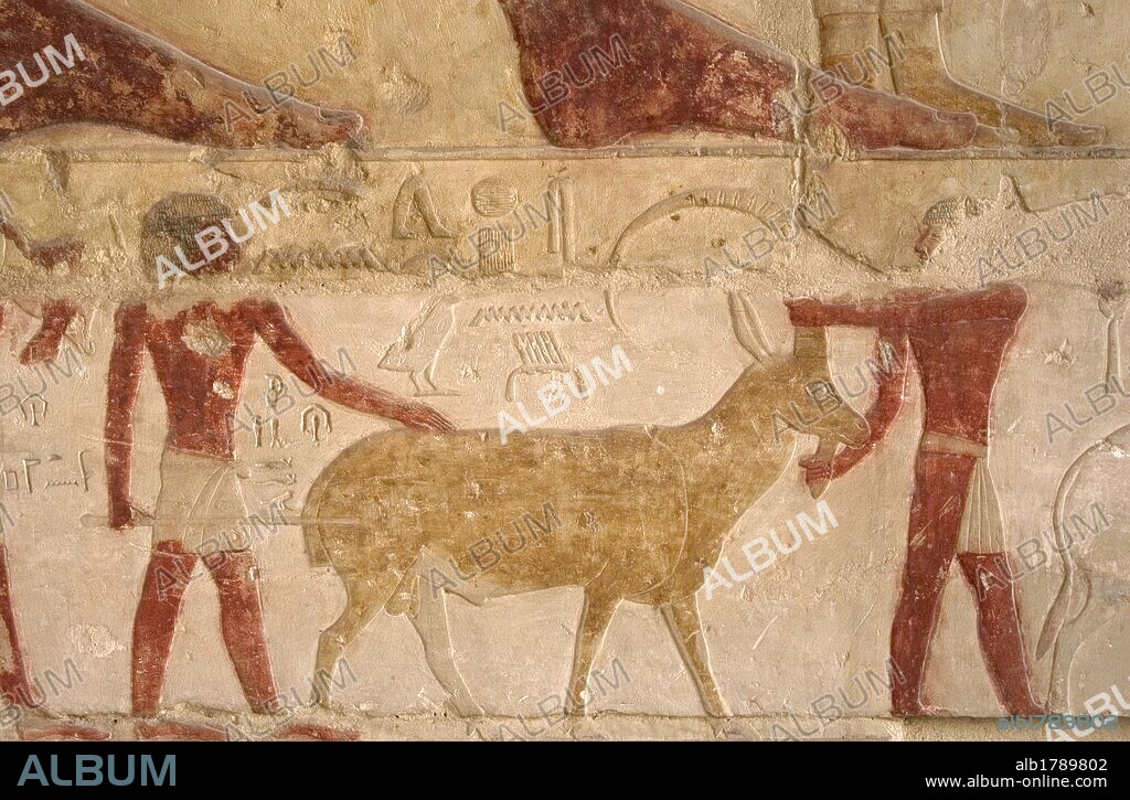 ARTE EGIPCIO. EGIPTO. TUMBA DE NEFER Y KA-HAY. Perteneciente a la V Dinastía. Fué construida por Nefer para su familia. De una única sala, y con un total de nueve tumbas. Relieve de dos pastores transportando una cabra. IMPERIO ANTIGUO. NECROPOLIS DE SAKKARA. Egipto.