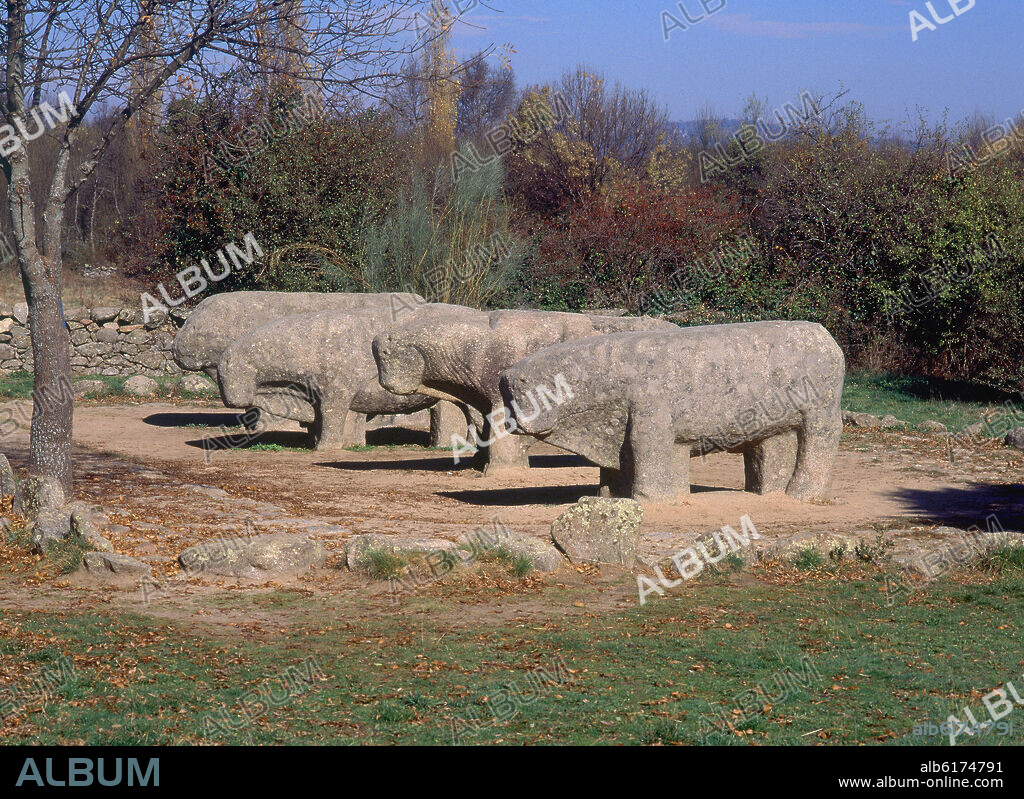 TOROS DE GUISANDO - VERRACOS DE VETTONES-  ESCULTURA EN PIEDRA - S III/II AC.