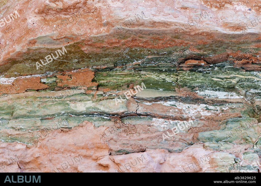 Close up of Cambrian Muav Limestone in the Grand Canyon, AZ. Muav Limestone is one of the 3 geological units in the Tonto Group which sits at the base section in the Grand Canyon.