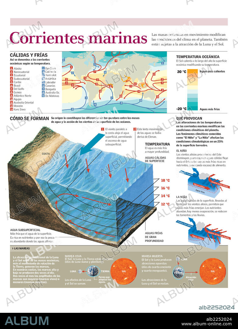 corrientes marinas. Infografía de la formación y efectos de las corrientes marinas.