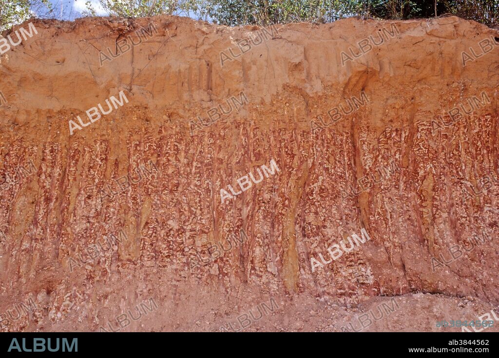 The profile of a yellow latosol showing soil horizons (A, C and R) and a mottled zone. Natal, Brazil.