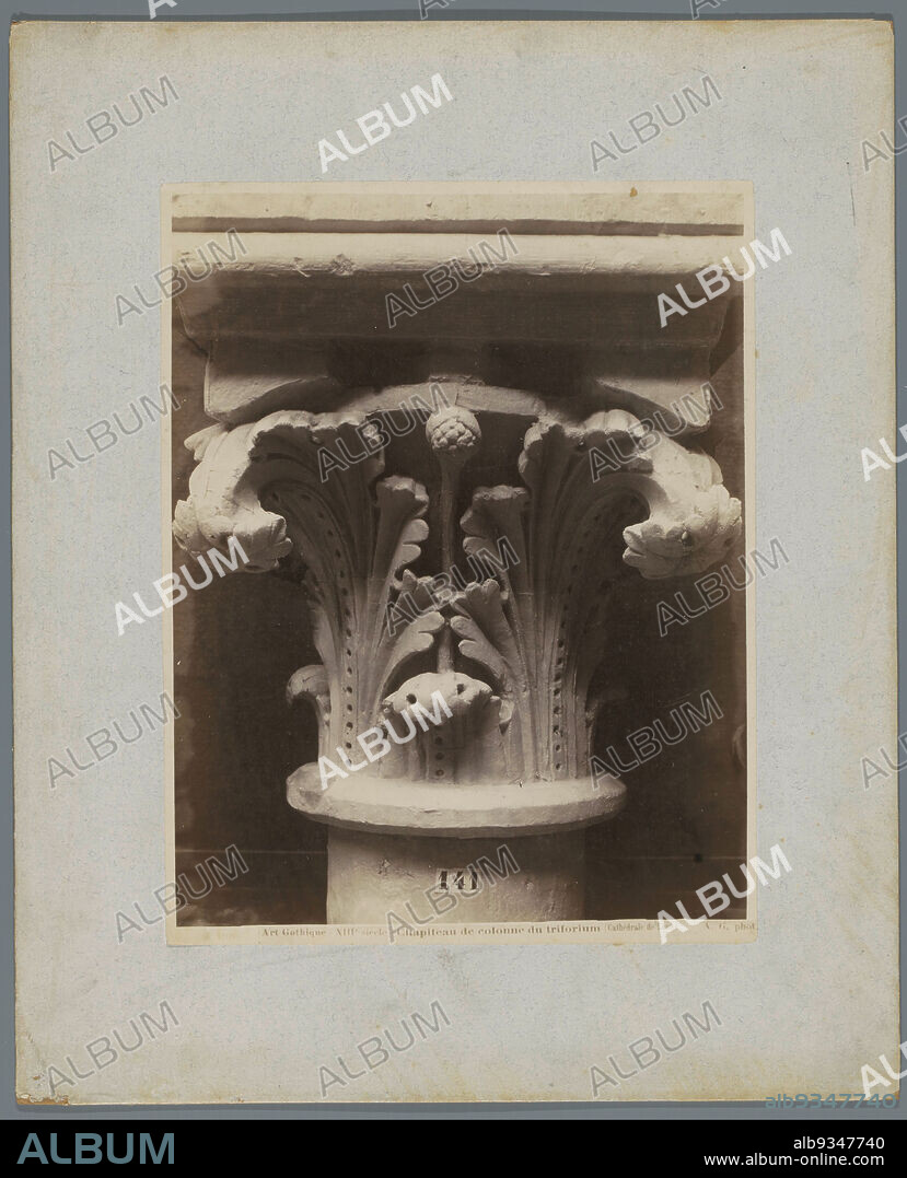 Cast of a capital in the Cathedral of Laon, Art Gothique - XIII siècle - Chapiteau de colonne du triforium (Cathédrale de Laon) (title on object), Adolphe Giraudon (mentioned on object), publisher: Adolphe Giraudon (mentioned on object), France, publisher: Paris, c. 1875 - c. 1900, cardboard, albumen print, height 259 mm × width 202 mm.