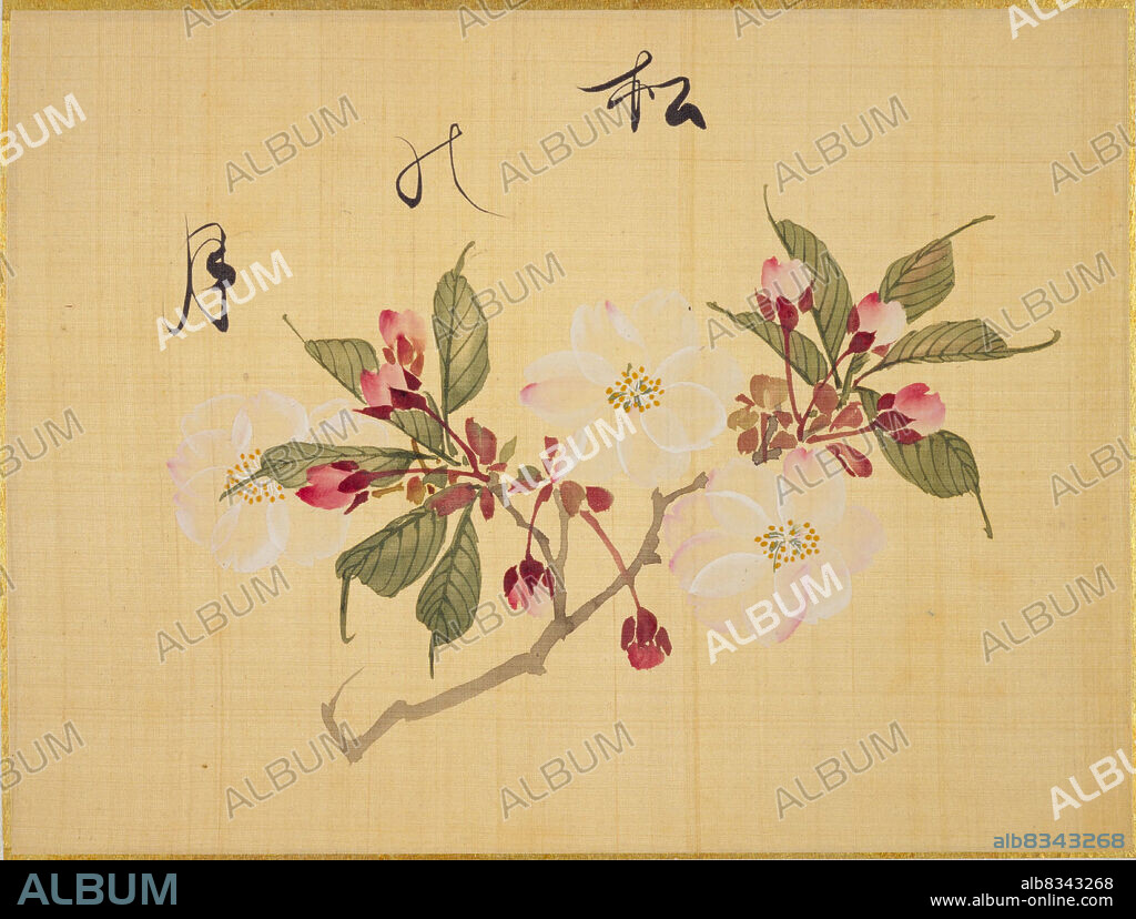 KONEN SAKAMOTO. From the Sketch Book of Sakura (Cherry Blossoms).
