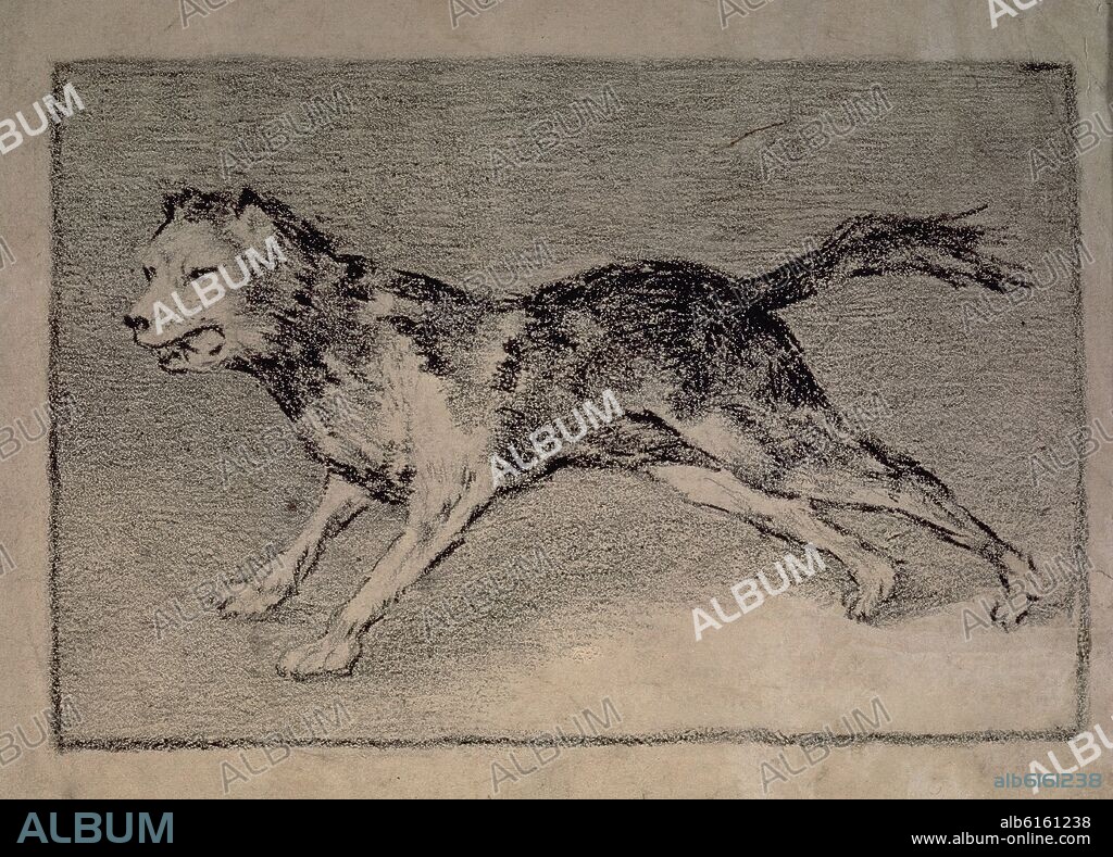 FRANCISCO GOYA Y LUCIENTES DE (1746-1828). PERRO - 1821-1826 - CARBONCILLO.