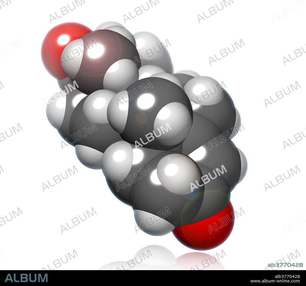 A molecular model of testosterone, a steroid hormone responsible for the development of male secondary sex characteristics, and is the principle male sex hormone produced in the testes. Atoms are colored dark gray (carbon), light gray (hydrogen) and red (oxygen).