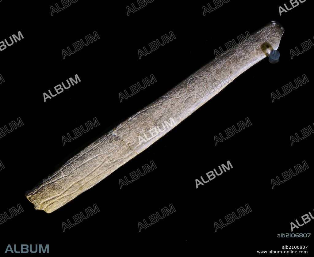 PIEZAS DE LA EXPOSICION "ARTE SIN ARTISTAS": "LA MUCHACHA DE BRUNIQUEL", GRABADO DE SILUETA HUMANA SOBRE HUESO. DEL ABRIGO DE MONTASTRUC. BRUNIQUEL, TARN-ET-GARON-NE (FRANCIA). GRAVETIENSE.