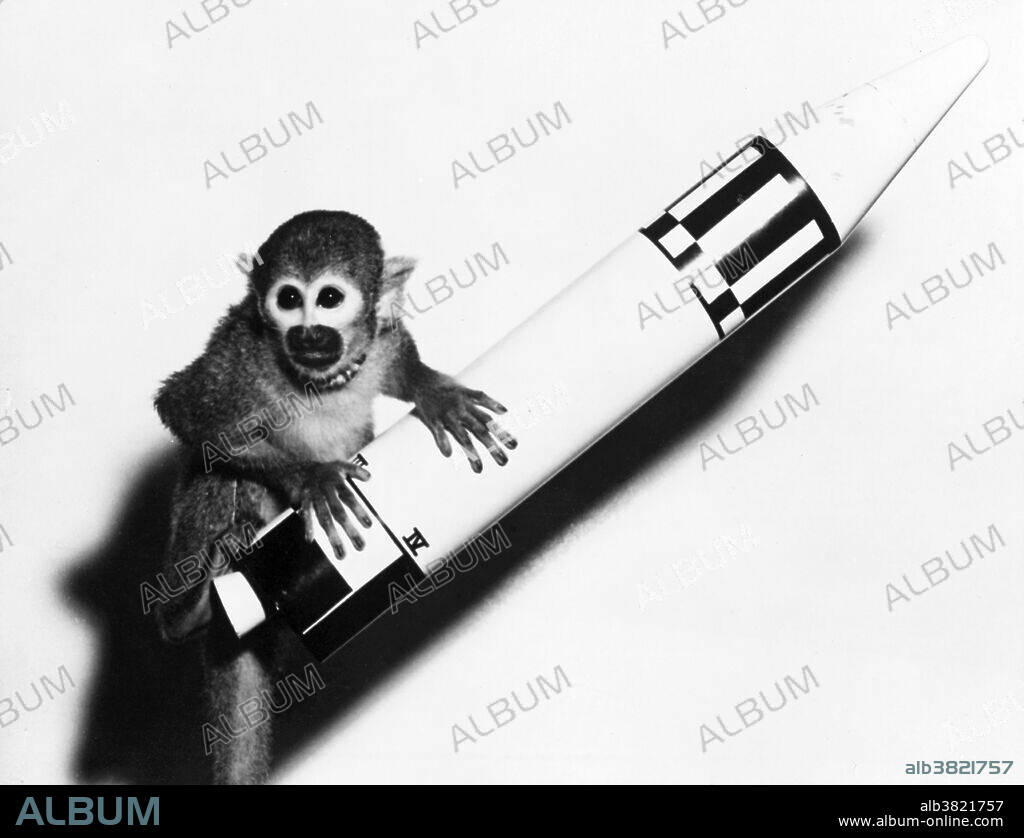 Miss Baker (1957 - November 29, 1984) was a squirrel monkey who became, along with rhesus monkey Miss Able, one of the first two animals launched into space by the United States and recovered alive. Miss Baker wore a tiny helmet lined with rubber and chamois leather plus a tiny jacket for launch, in addition to a respiration meter affixed to her nose with model cement, and she was fitted into a snug capsule of shoebox size, 9 3/4 x 12 1/2 x 6 3/4 inches insulated with rubber and fiberglass. Life support was an oxygen bottle with a pressure valve, and lithium hydroxide to absorb exhaled carbon dioxide and moisture. On May 28, 1959, at 2:39 am, a Jupiter rocket lofted Miss Baker and Miss Able to an altitude of 300 miles (480 km) through an acceleration of 38 gs for a 16 minute flight which also included 9 minutes of weightlessness. The flight traveled 1,500 miles downrange from the pad at Cape Canaveral launch complex 26B to the Atlantic Ocean near Puerto Rico where the capsule was recovered by USS Kiowa. Owing to their successful return from space, Able and Baker appeared on the cover of Life magazine, June 15, 1959. She died, in 1984, of kidney failure at a clinic at Auburn University after attaining the record for oldest living squirrel monkey, 27 years old. Miss Baker is buried on the grounds at the U.S. Space & Rocket Center. Her tombstone routinely has one or more bananas on top.