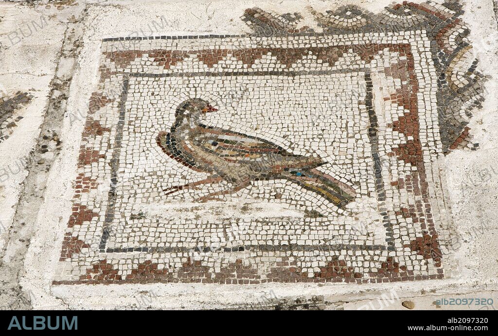ARTE ROMANO. ESPAÑA. ITALICA. Ciudad fundada hacia 206 a. C., por iniciativa de Cornelio Escipión. Casa de los pájaros. Domus romana señoria. Detalle de uno de los mosaicos que decoraban las estancias y que da nombre a la casa. Santiponce. Provincia de Sevilla. Andalucia.