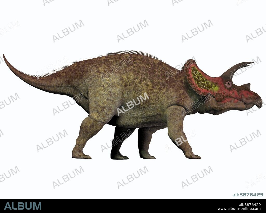 Triceratops is a genus of herbivorous dinosaur that lived in North America during the Cretaceous Period.