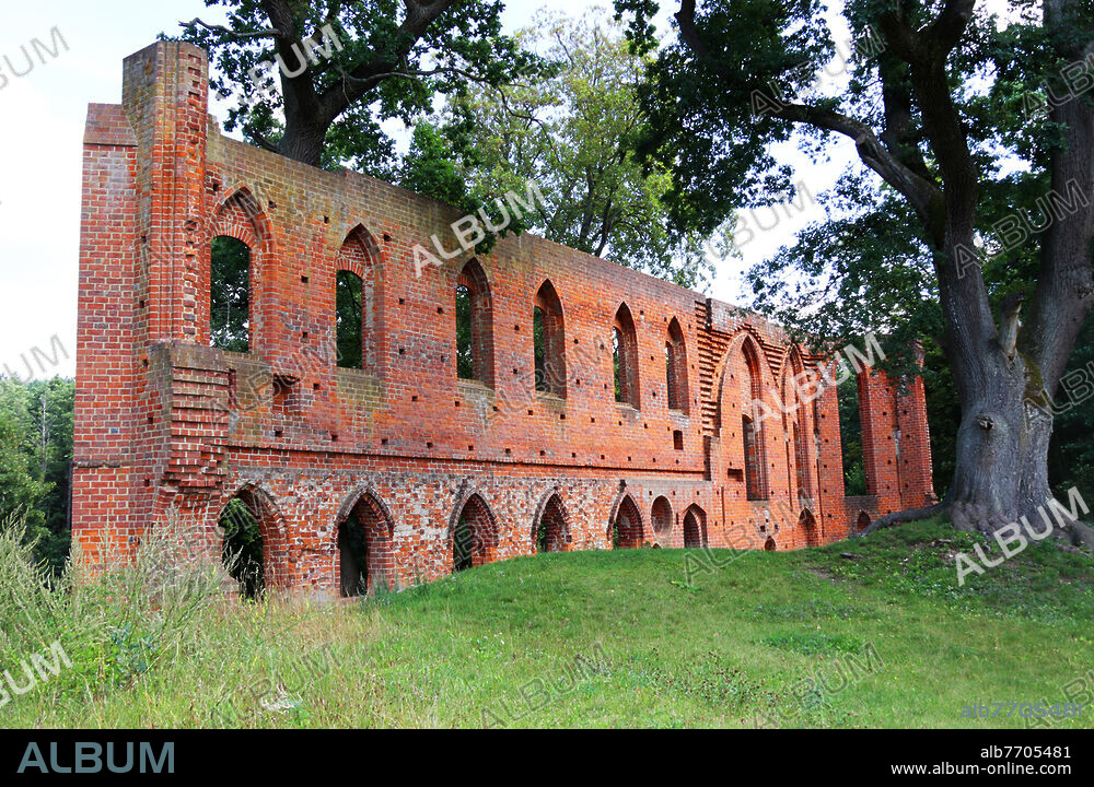 Deutschland, Land Brandenburg, Kreis Uckermark, Gemeinde Boitzenburger Land: Ruinenwand der früheren Klosterkirche der Klosterruine Boitzenburg. Das Kloster Boitzenburg wurde 1271 von den drei Markgrafen Johann II., Otto IV. und Konrad von Brandenburg mit viel Grundbesitz gestiftet. Es wurde zur gleichen Zeit wie das nahe, berühmte Kloster Chorin erbaut  Das Kloster war ein Ordenskloster für Nonnen des Zisterzienserordens, der Zisterzienserinnen.Es schloss 1536, in zeiten der Reformation Luthers, aufgrund Säkularisierung. 1538 wurde Hans von Arnim, Landvogt der Uckermark, neuer Besitzer des Klosters und des Klosterbesitzes. Die adelige Familie von Arnim blieb bis 1945 Eignerin. Während des Dreißigjährigen Krieges (1618 - 1648) wurde das Kloster von dänischen Truppen im Jahr 1637 völlig zerstört.