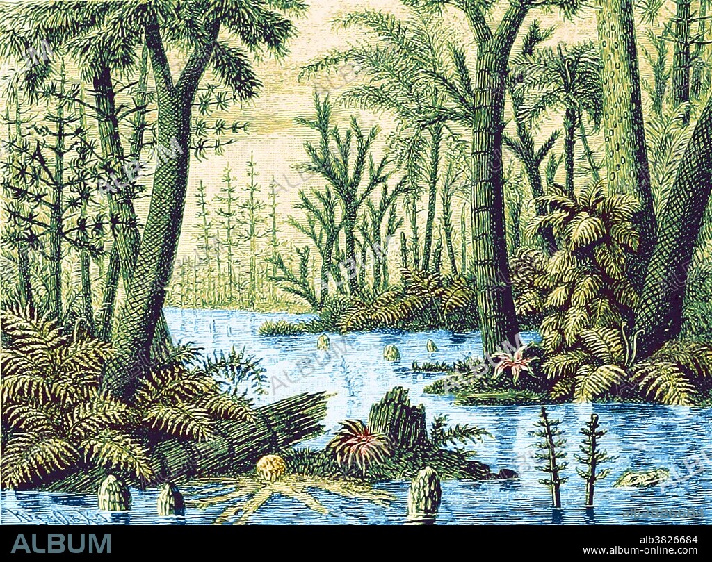 Carboniferous landscape. The Carboniferous is a geologic period and system that extends from the end of the Devonian Period, about 358.9 million years ago, to the beginning of the Permian Period, about 298.9 mya. The name Carboniferous means "coal-bearing" and derives from the Latin words carbo ("coal") and fero ("I bear, I carry"), and was coined by geologists William Conybeare and William Phillips in 1822. Illustration from 1885.