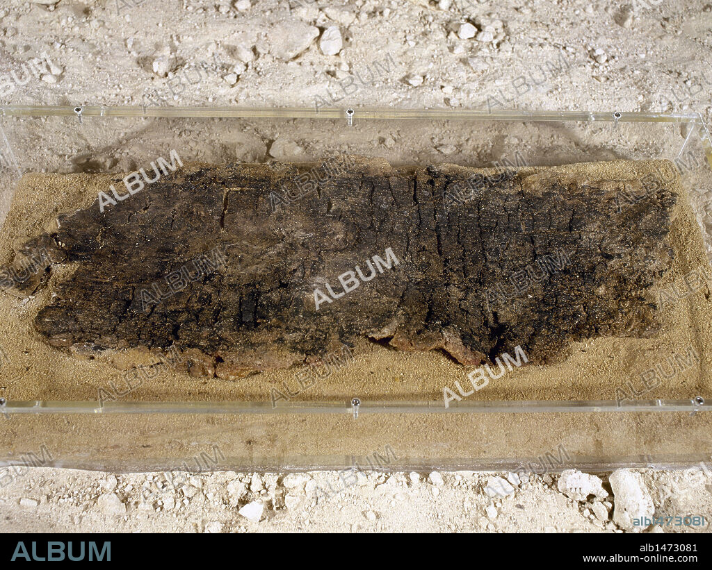 ARTE PREHISTORICO. PALEOLITICO. ESPAÑA. OBJETO DE MADERA (BANDEJA). (PALEOLITICO MEDIO). Datado en el-48.000 aproximadamente. Procede del yacimiento del "Abric Romaní" (Abrigo Romaní) en Capellades. Museu-Molí Paperer de Capellades. Provincia de Barcelona. Comarca de l'Anoia. Cataluña.