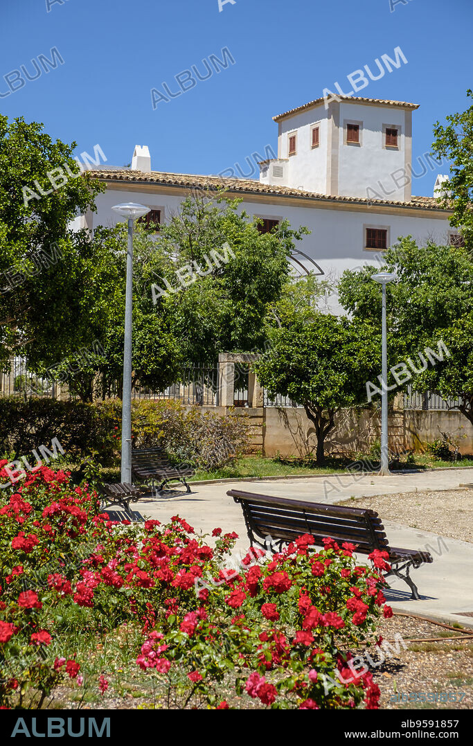 Son Serra Perera, Palma, Mallorca, balearic islands, Spain.