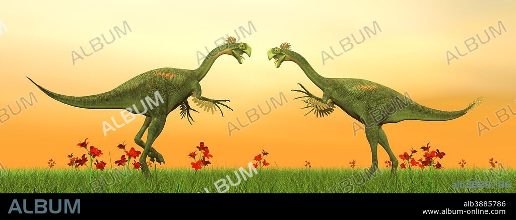 Two Gigantoraptor dinosaurs fighting on green grass by sunset.