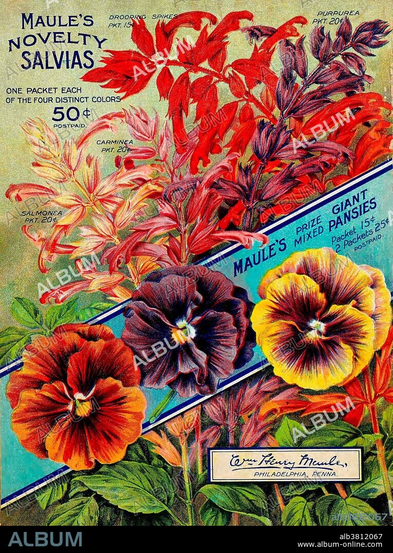 Entitled: "Maule's seed catalogue, Philadelphia, Pennsylvania." William Henry Maule (April 14, 1828 - April 3, 1902) was an American businessman. He took over the operation of the lumber company started by his father and uncle and expanded into the seed business in 1877 originally catering to market gardeners and farmers who supplied local consumers with their fresh vegetables. With the help of his son, the company grew into a prominent mail-order business. Historical seed catalogs provide a variety of insights into the history of horticulture, agriculture, gardening, advertising, seed companies, and the mail order business. Seed trade catalogs even contain windows into the history of graphic design and social history by showing the changing interests and desires of the gardener and farmer. Not only do the seed catalogs reveal new varieties and when they were introduced, but many also include brief advice on how and where to plant the seeds, lawn care, and occasionally a history of certain plant varieties.