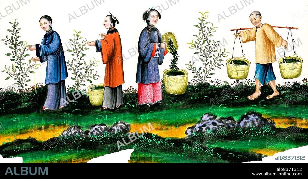 The Qing dynasty, also called the Empire of the Great Qing, or the Manchu dynasty, was the last imperial dynasty of China, ruling from 1644 to 1912 with a brief, abortive restoration in 1917.<br/><br/>. It was preceded by the Ming dynasty and succeeded by the Republic of China. The Qing multi-cultural empire lasted almost three centuries and formed the territorial base for the modern Chinese state.
