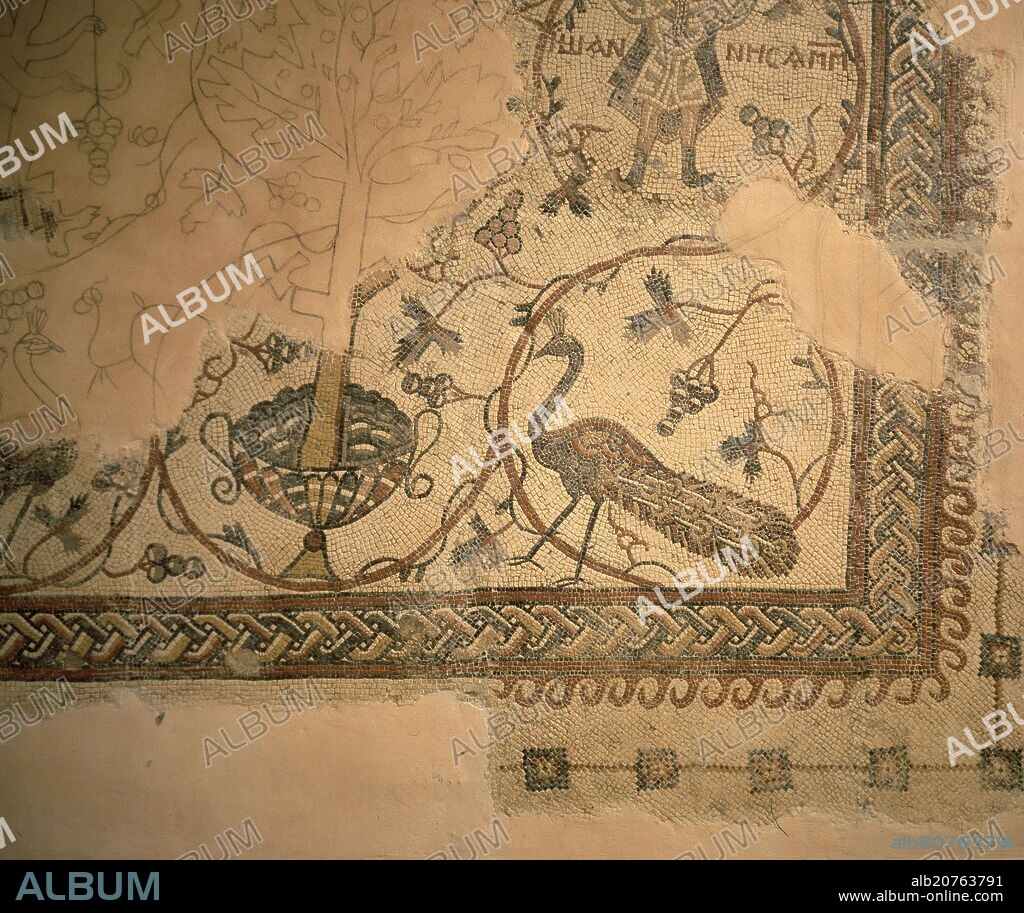 MOSAICO PALEOCRISTIANO DE LA BASILICA DE NEBO.