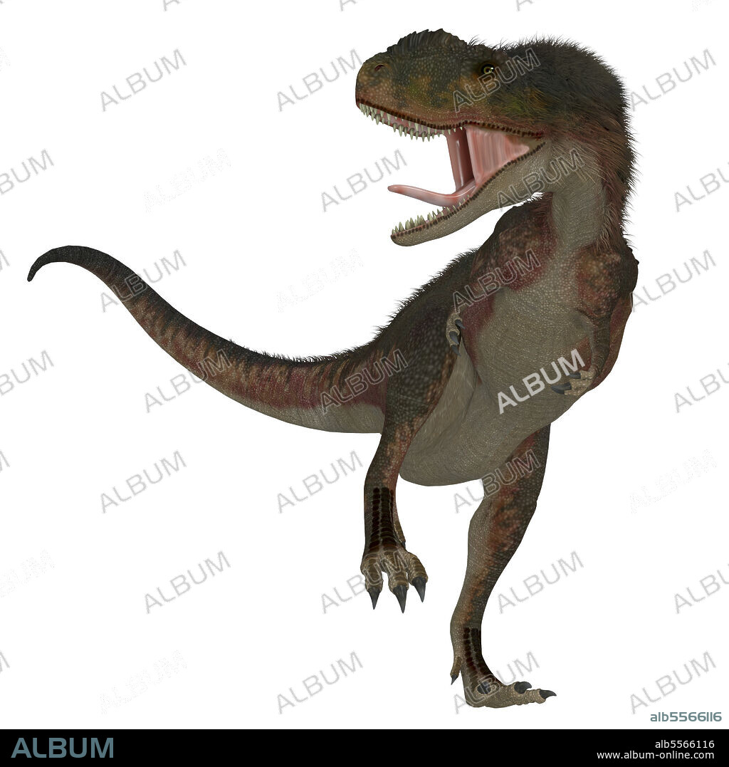 Rugops dinosaur, front view on white background. Rugops was a predatory feathered theropod dinosaur that lived in Africa during the Cretaceous Period.