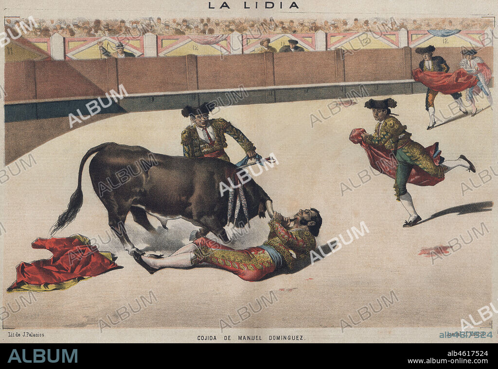 La lidia. Cogida de Manuel Domínguez Campos (1816-1886), Desperdicios. Año 1886.