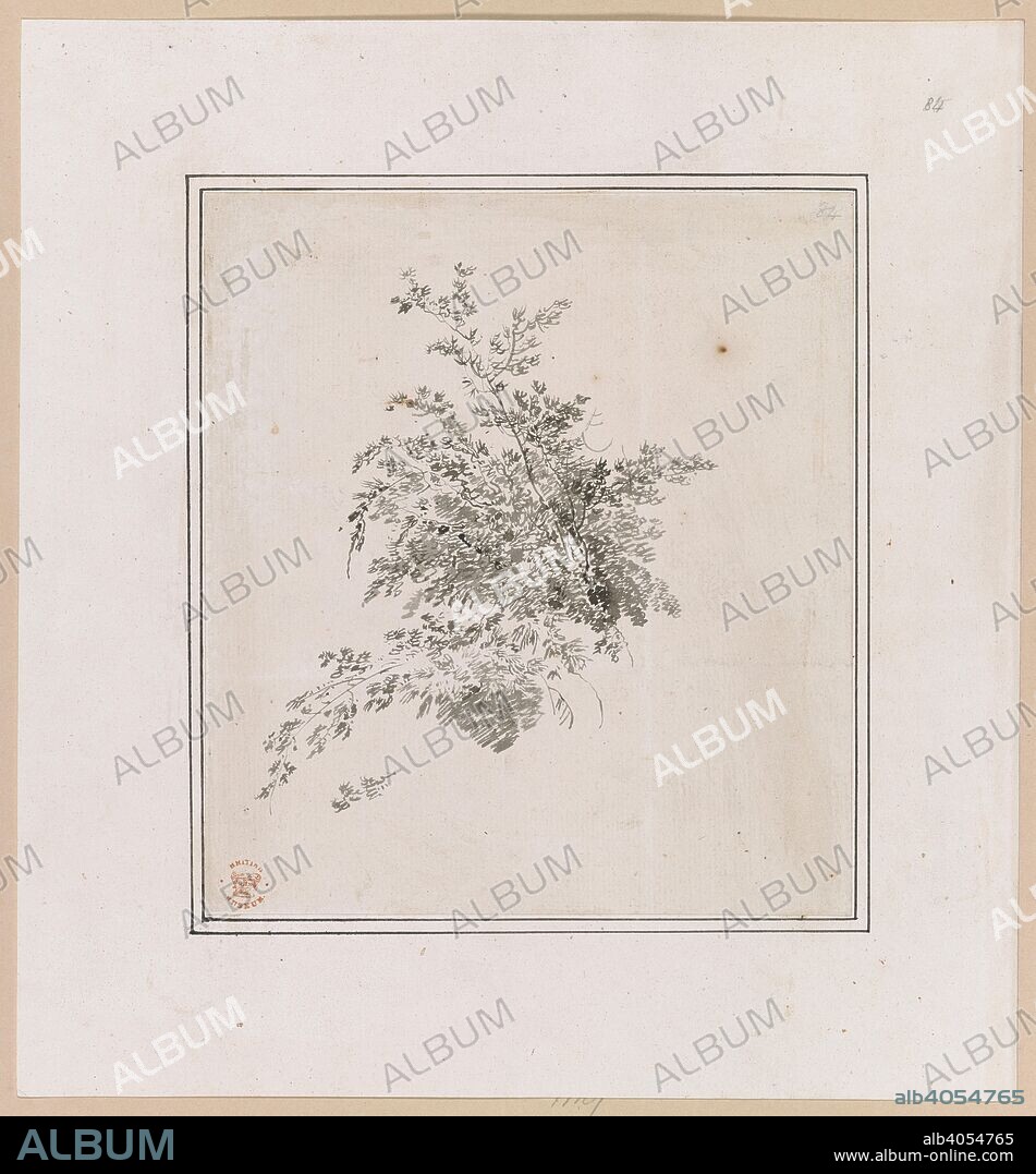 JOHN WEBBER. A plant. Sketches and coloured drawings made by J. Webber, during Captain Cook's third voyage, in 1776-1780 ... 1776-1780. Source: Add. 17277, no.84.