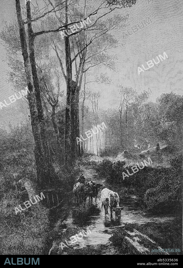 After the storm, cows drink water from large puddle  /  Nach dem Gewitter, Kühe trinken Wasser aus großer Pfütze, Historisch, historical, digital improved reproduction of an original from the 19th century / digitale Reproduktion einer Originalvorlage aus dem 19. Jahrhundert.