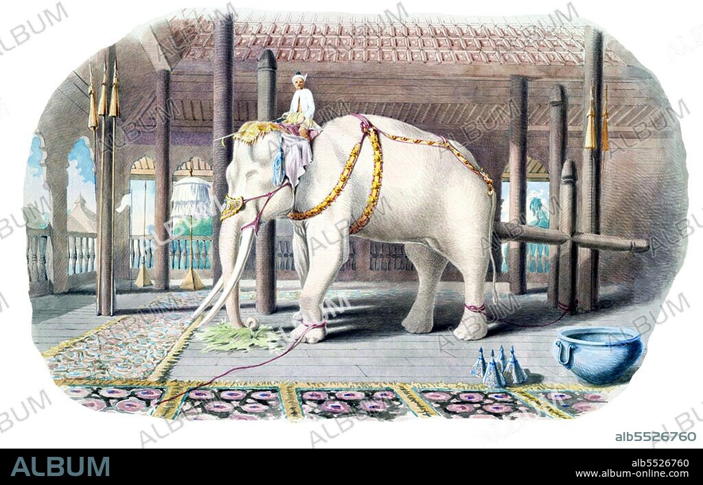 Watercolour with pen and ink of the 'Lord White Elephant', a rare and auspicious white elephant kept by the King at Amarapura. From: 'A Series of Views in Burmah taken during Major Phayre’s Mission to the Court of Ava in 1855'.